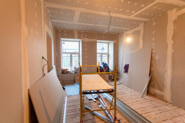 Best Mold Odor Removal Services  in Pearl, MS